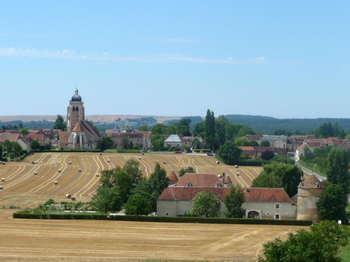 Château de Ribourdin Chevannes (Yonne) Exterior foto