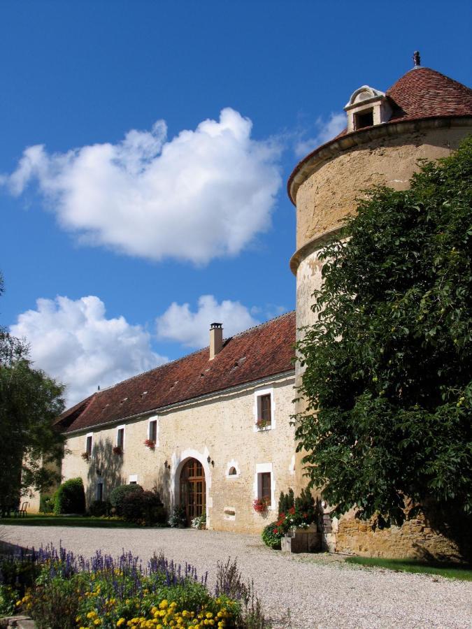 Château de Ribourdin Chevannes (Yonne) Exterior foto