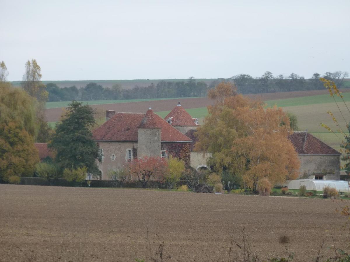 Château de Ribourdin Chevannes (Yonne) Exterior foto